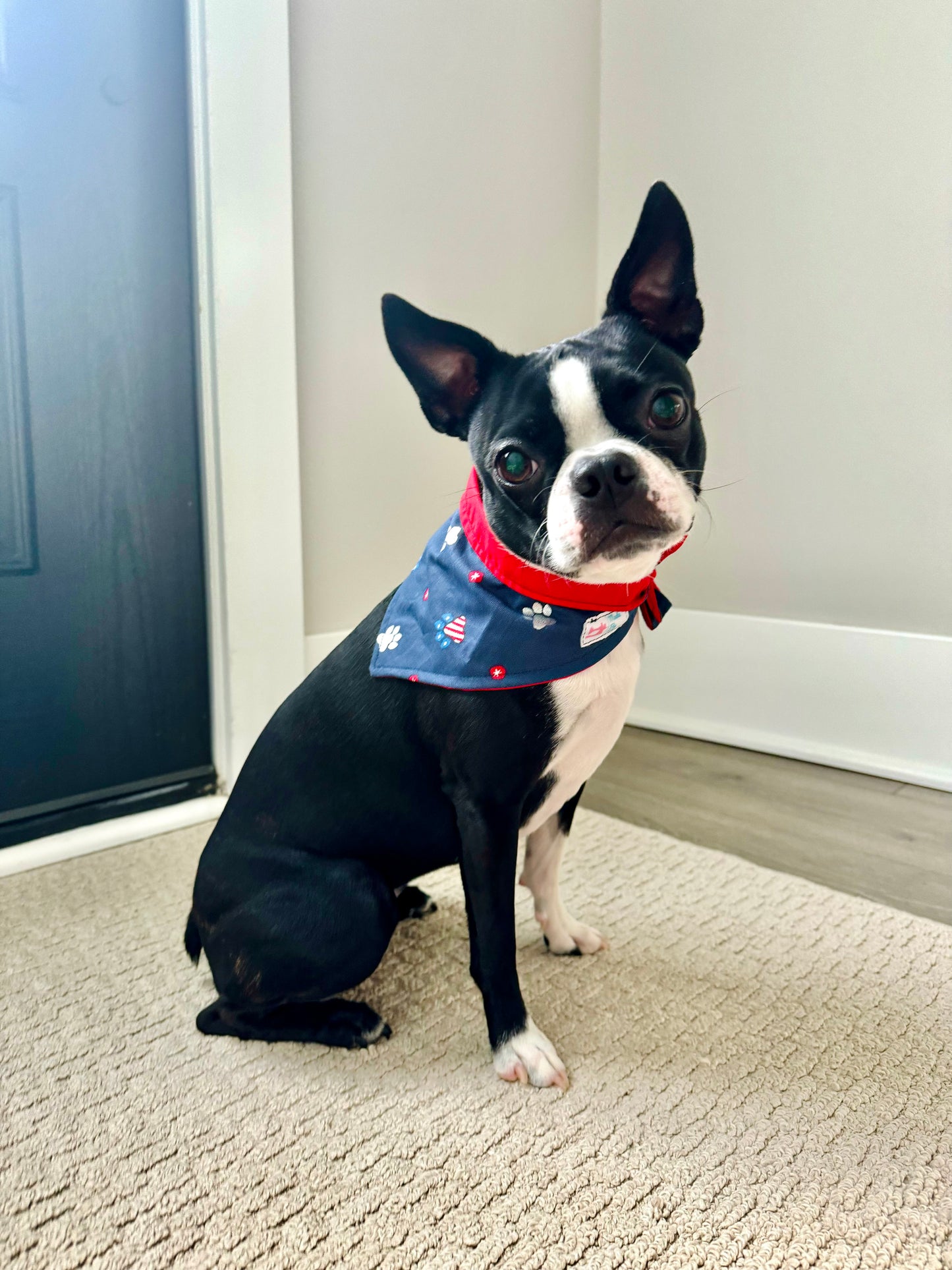 Fourth of July Bandanas