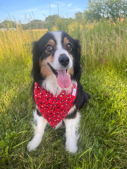 Fourth of July Bandanas